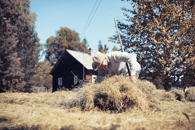 Un homme ratisse l'herbe coupée Récolte de céréales d'automne Grand-père s'occupe de la pelouse d'une maison de campagne