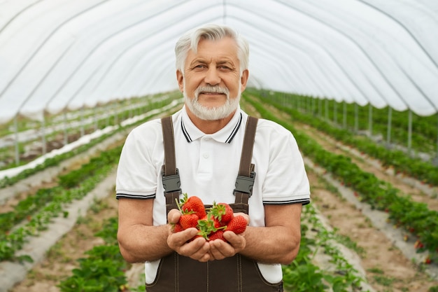 Homme avec récolte de fraises en mains