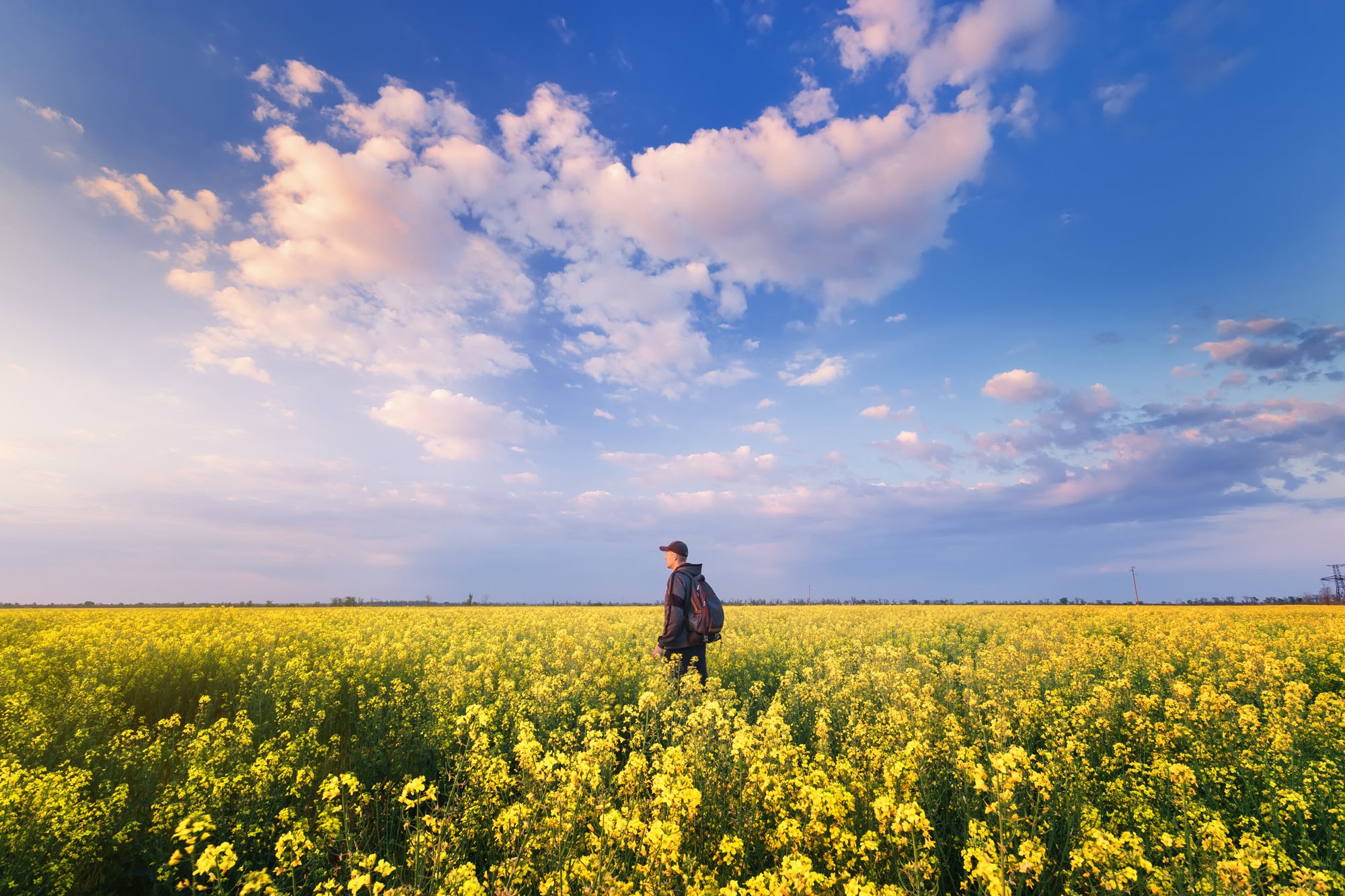 L'homme regarde le ciel / paysage printanier lumineux