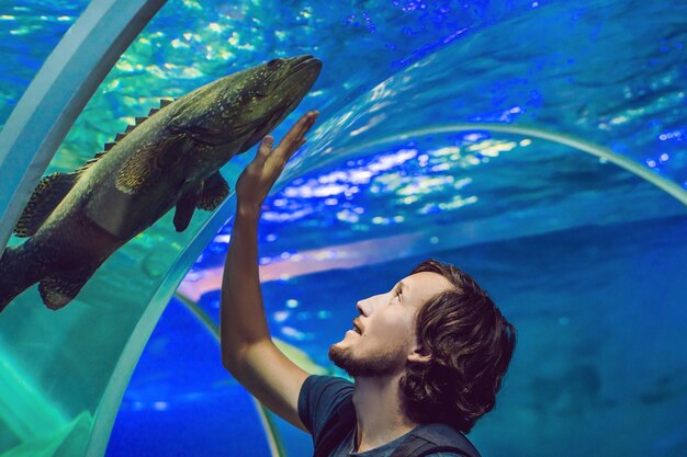 L'homme regarde les poissons dans l'aquarium.