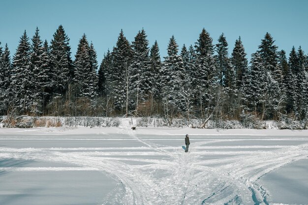 Homme sur une rivière gelée contre la forêt