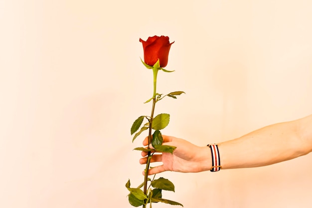 homme avec des roses à la date