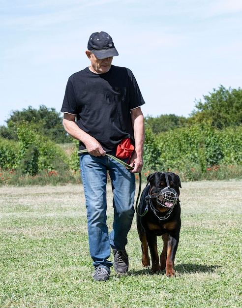 Homme et rottweiler dans la nature