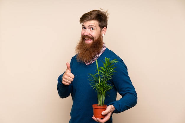 Homme rousse à longue barbe prenant un pot de fleurs et avec le pouce vers le haut