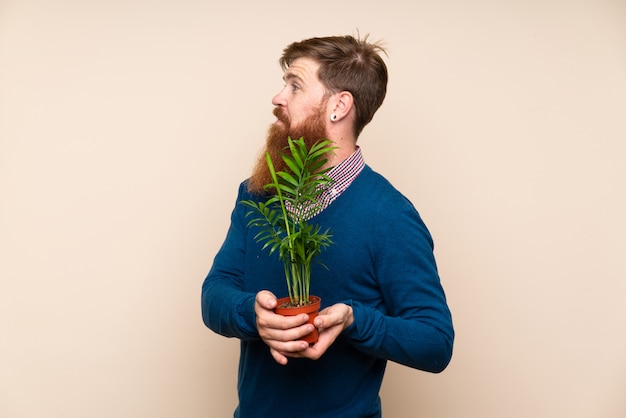 Homme rousse à longue barbe prenant un pot de fleurs