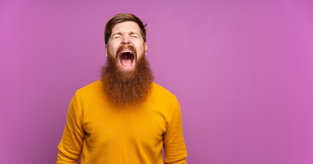 Homme rousse avec une longue barbe sur violet isolé criant à l'avant avec la bouche grande ouverte