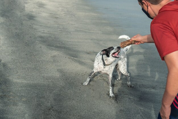 Homme s'amusant avec son chien à la plage