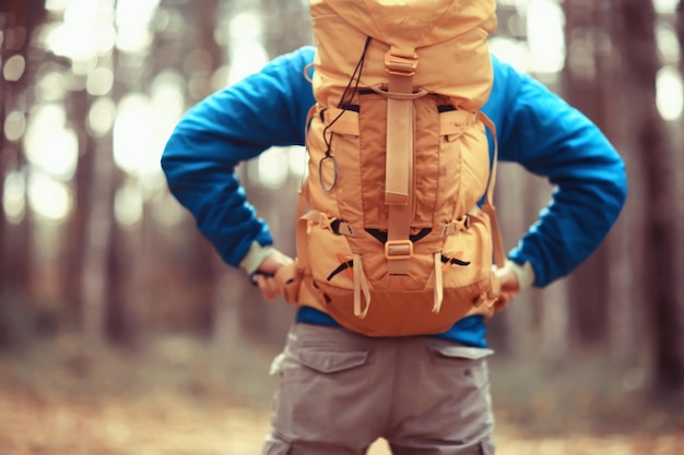 homme avec sac à dos vue de dos, randonnée dans la forêt, paysage d'automne, dos de touriste avec sac à dos