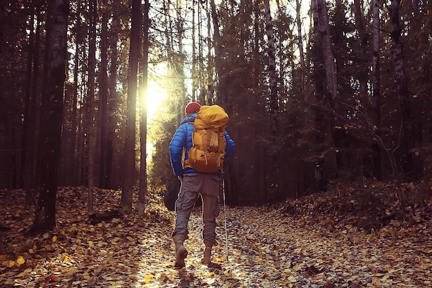 homme avec sac à dos vue de dos, randonnée dans la forêt, paysage d'automne, dos de touriste avec sac à dos