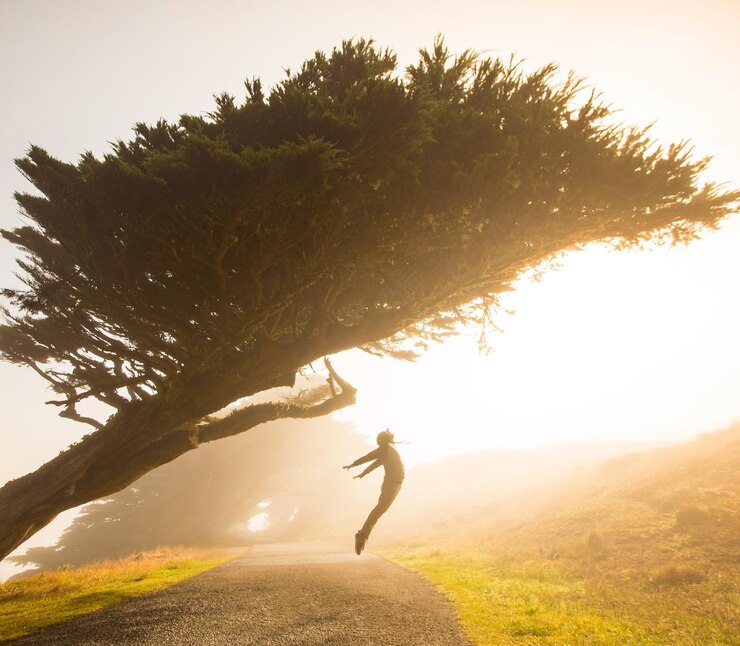 Photo un homme saute sous un arbre au coucher du soleil.
