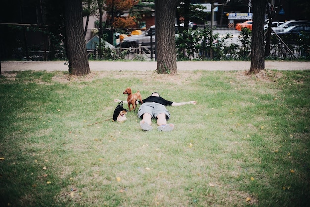 L'homme se détend avec son chien dans le parc.
