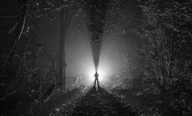 Un homme se tient dans la forêt pendant la nuit.
