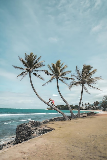 Un homme se tient sur une plage avec une planche de surf et un palmier.