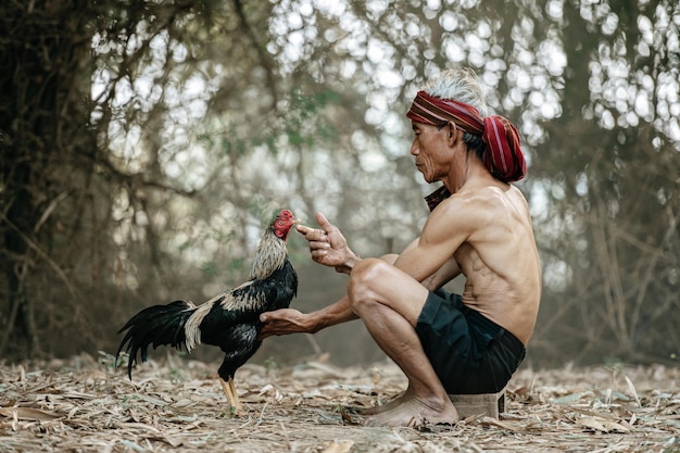 Homme senior asiatique torse nu et turban avec pagne, assis et toucher la bouche d'un gamecock. Il taquine la belle gamecock avec amour. copie espace