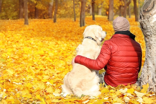 Homme avec son chien assis sous un arbre dans un magnifique parc d'automne