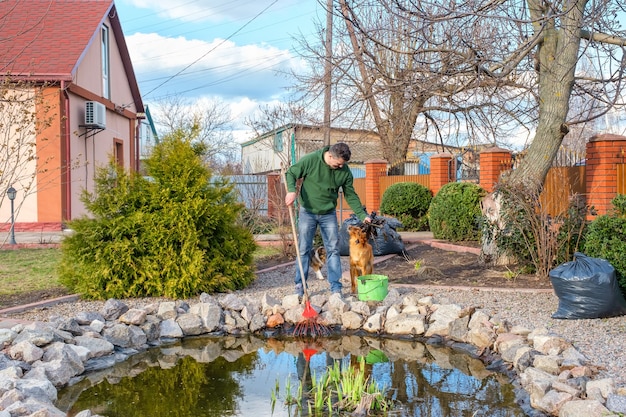 L'homme avec son chien nettoie un étang de jardin de la chute des feuilles