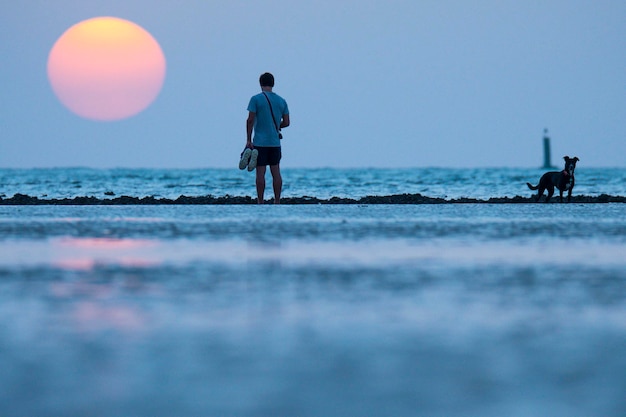 Un homme et son chien regardant le coucher du soleil