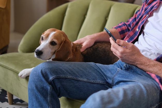 L'homme et son fidèle beagle passent un après-midi de farniente sur le canapé à parcourir les réseaux sociaux et à caresser son