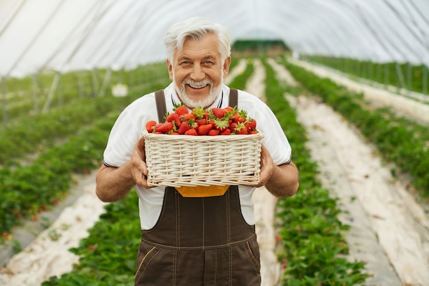 Homme souriant et tenant un panier de fraises fraîches