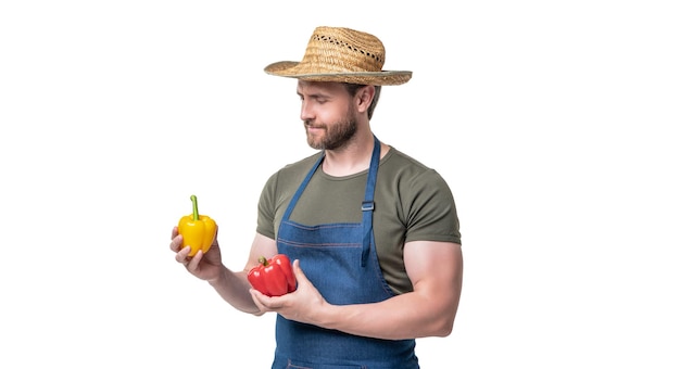 Homme en tablier et chapeau tenir légume poivron isolé sur blanc