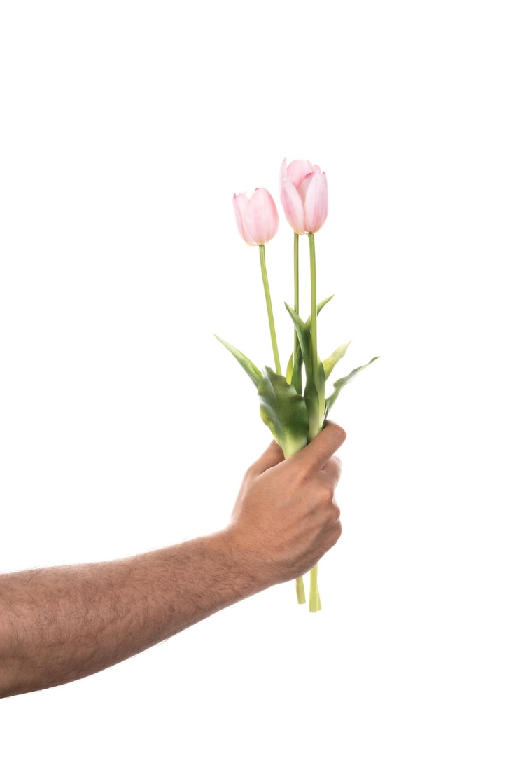 Photo homme tenant de belles tulipes printanières sur fond blanc fleurs isolées sur fond blanc