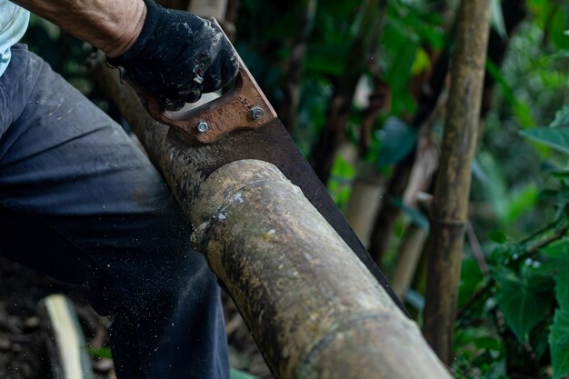 Homme tenant une hache lourde Axe dans les mains du bûcheron coupant ou coupant des troncs de bois