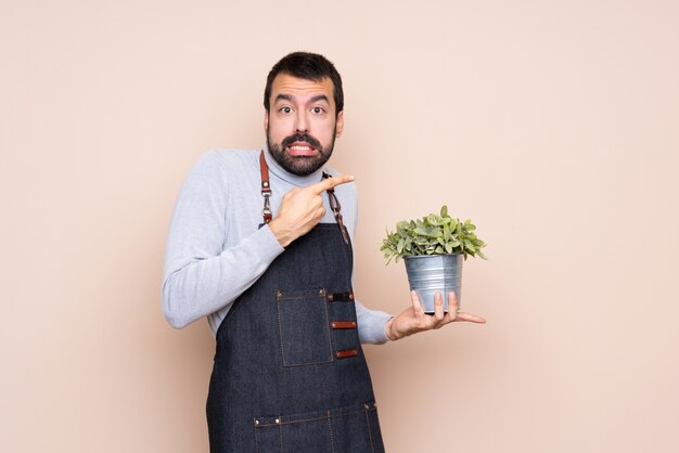 Homme tenant une plante effrayée et pointant sur le côté