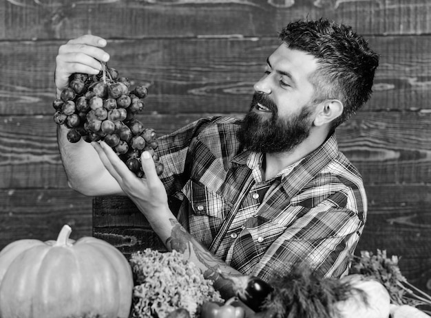 Homme tenant des raisins fond en bois Récolte biologique de légumes Concept d'agriculture Raisins de son propre jardin Agriculteur barbu avec récolte locale sur table tenir des raisins Agriculteur fier de la récolte des raisins