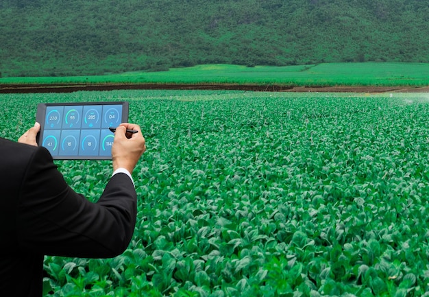 Homme tenant une tablette utilisant la technologie pour surveiller la croissance des légumes