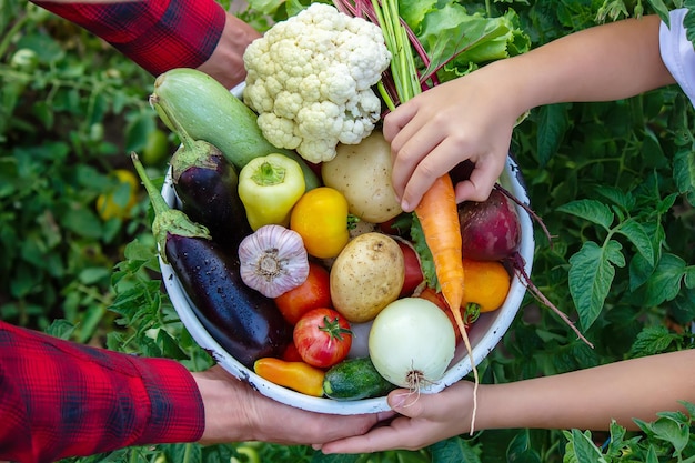 Un homme tient des légumes d'une ferme à Minsk.