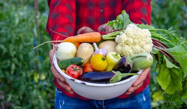 Un homme tient des légumes d'une ferme à Minsk.