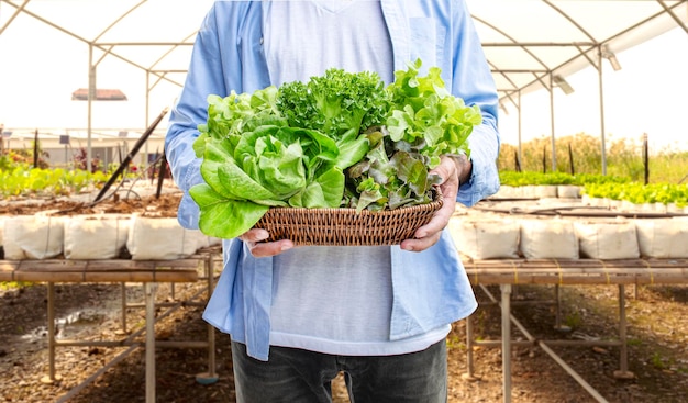 L'homme tient des légumes sur un panier en rotin avec un fond de ferme maraîchère