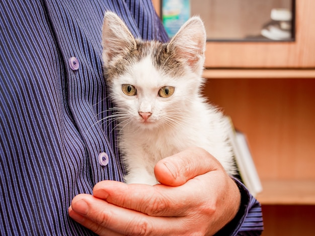 L'homme tient sur ses mains un petit chaton tacheté blanc avec de grands yeux expressifs