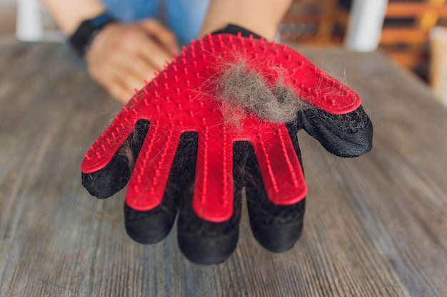 Homme toilettant un chat avec des gants spéciaux