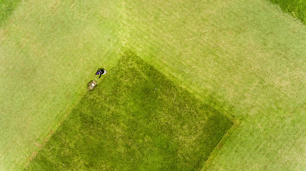 L'homme tondre l'herbe dans une pelouse