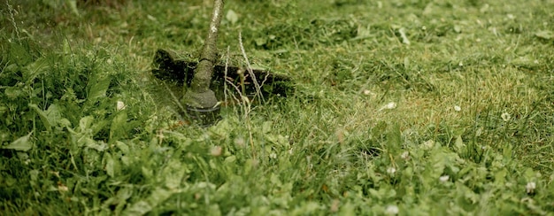 Homme tondre l'herbe la tondeuse se bouchent