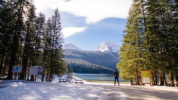 L'homme touristique voyage sur fond de montagnes enneigées. Lac d'hiver avec pinède et montagnes.