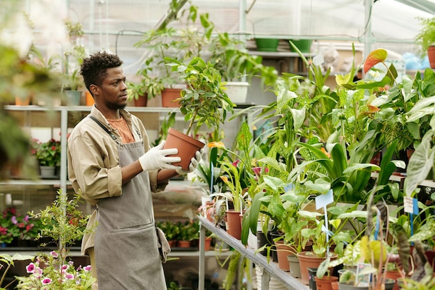 Homme travaillant avec des plantes dans un magasin de fleurs