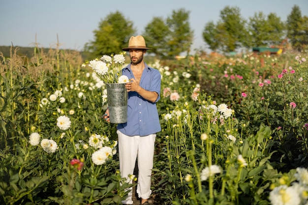 L'homme travaille à la ferme de dahlia à l'extérieur