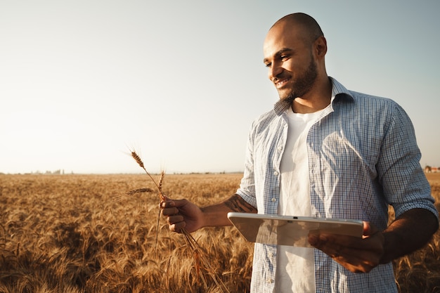 Homme utilisant une tablette numérique dans un champ de blé au coucher du soleil