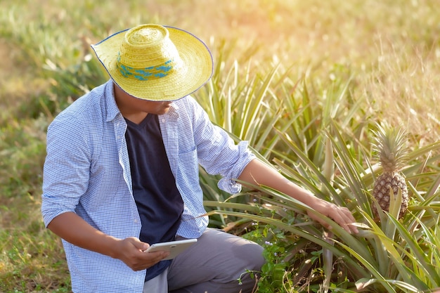 Un homme à utiliser vérifier lire ou analyser un rapport de manioc dans une ferme de plantation sur tablet computeragricul