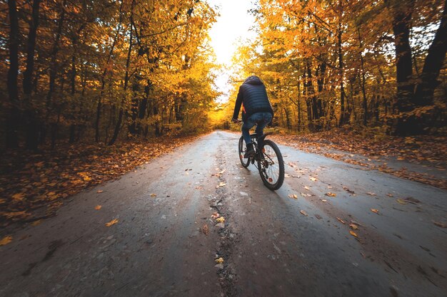 Un Homme à Vélo Se Promène Le Long De La Route Dans La Forêt D'automne Le Soir Au Coucher Du Soleil