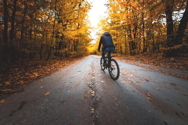 Un homme à vélo se promène le long de la route dans la forêt d'automne le soir au coucher du soleil