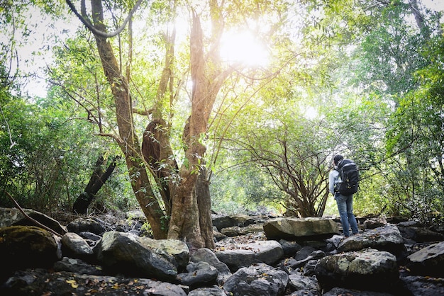 Homme de voyageur avec un sac à dos dans la forêt, concept de mode de vie heureux