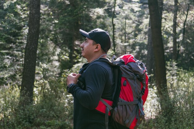 Un homme voyageur se promène dans les bois