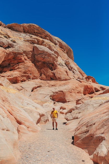 L'homme avec la vue du parc national de Zion