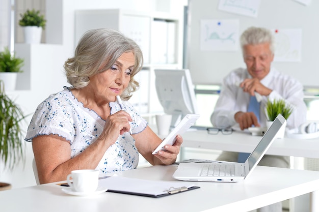 Hommes d'affaires seniors prospères travaillant ensemble