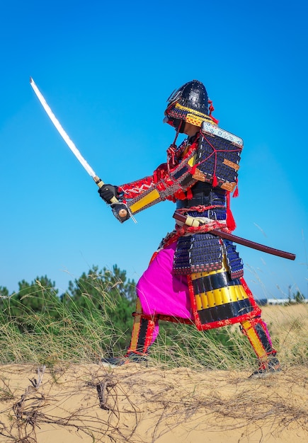 Hommes en armure de samouraï avec épée. Caractère original