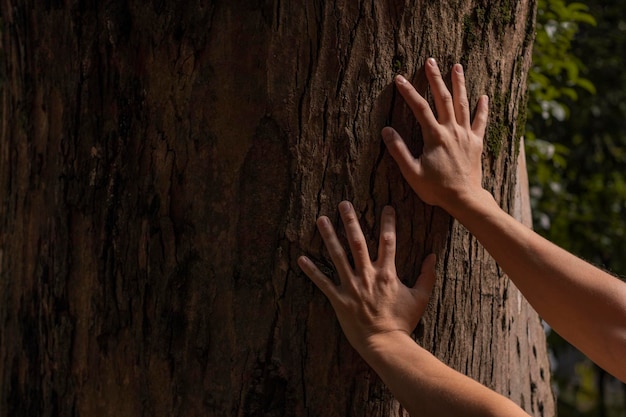 Hommes latins regardant la nature et en prenant soin