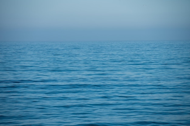 Horizon de l'océan pacifique tiré de la côte